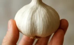 Eliminar hongos uñas de los pies Ajo machacado con vinagre de manzana