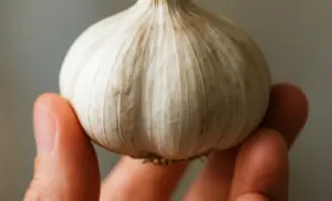 Principales beneficios del ajo crudo