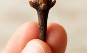 Receta de Sérum Rejuvenecedor con Clavo de Olor