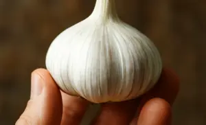 Ajo y miel: El antibiótico natural.