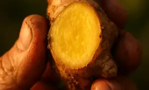 Beneficios del jengibre después de comer.