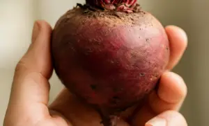 Jugo de REMOLACHA 10 días