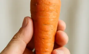 Jugo de ZANAHORIA 10 días