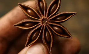 Solo Té de anís por 10 días