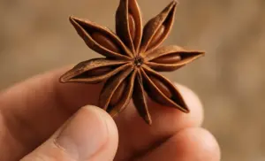 Té de anís por 10 días