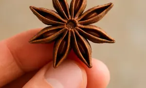 Té de anís por 10 días y se acaba