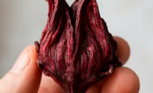 Té de hibisco (flor de jamaica) por 10 días y se acaba