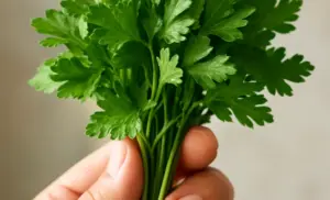 Té de perejil por 10 días y se acaba